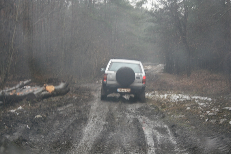 HL Groundhog Day 061